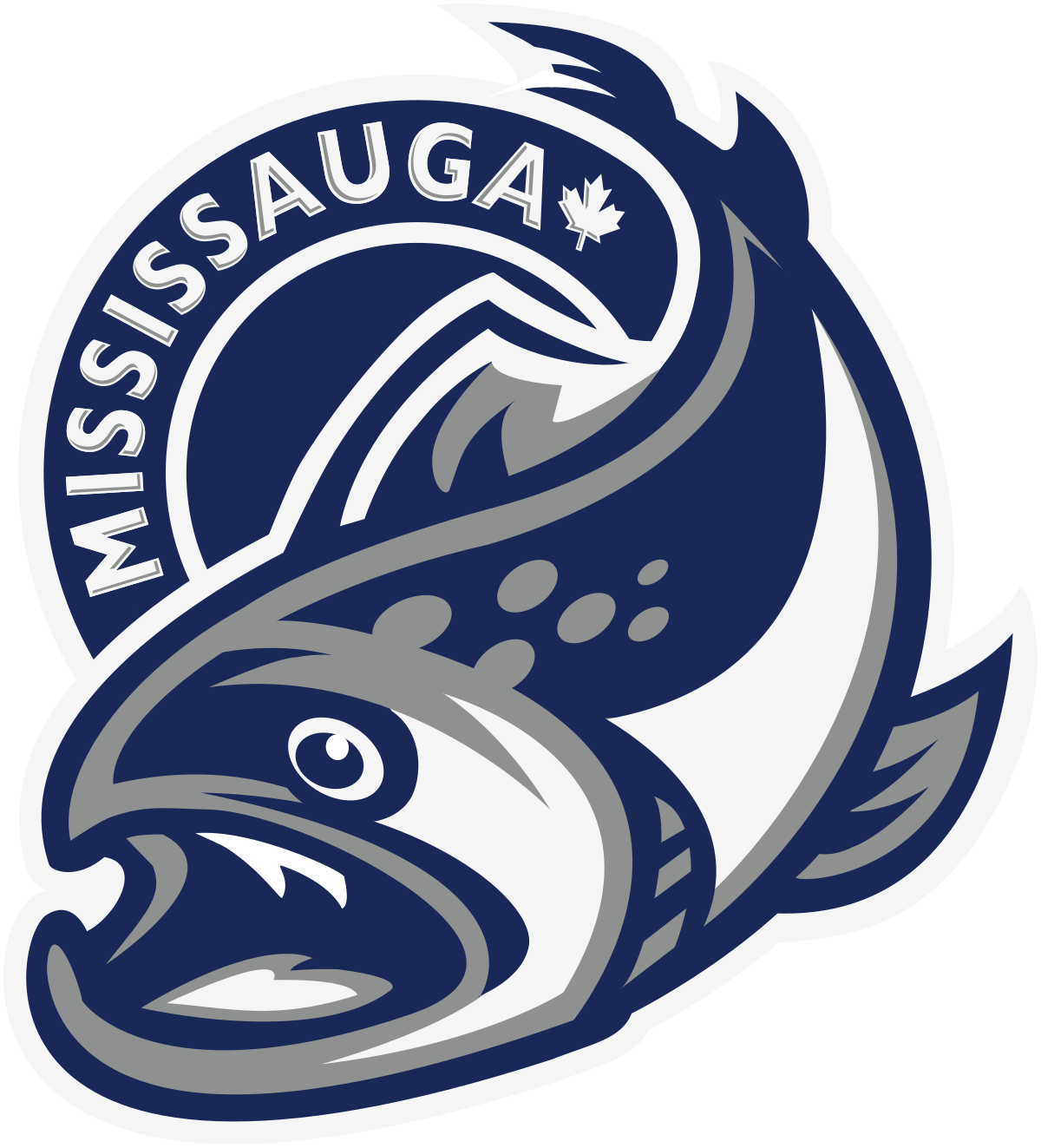 OHL: Mississauga Steelheads at Niagara Ice Dogs