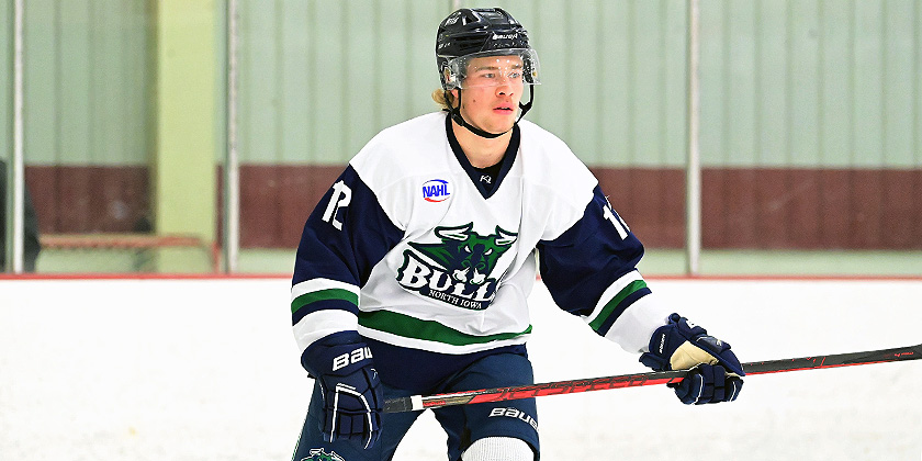 NAHL: Multi-Game Reports: Top 35 Players